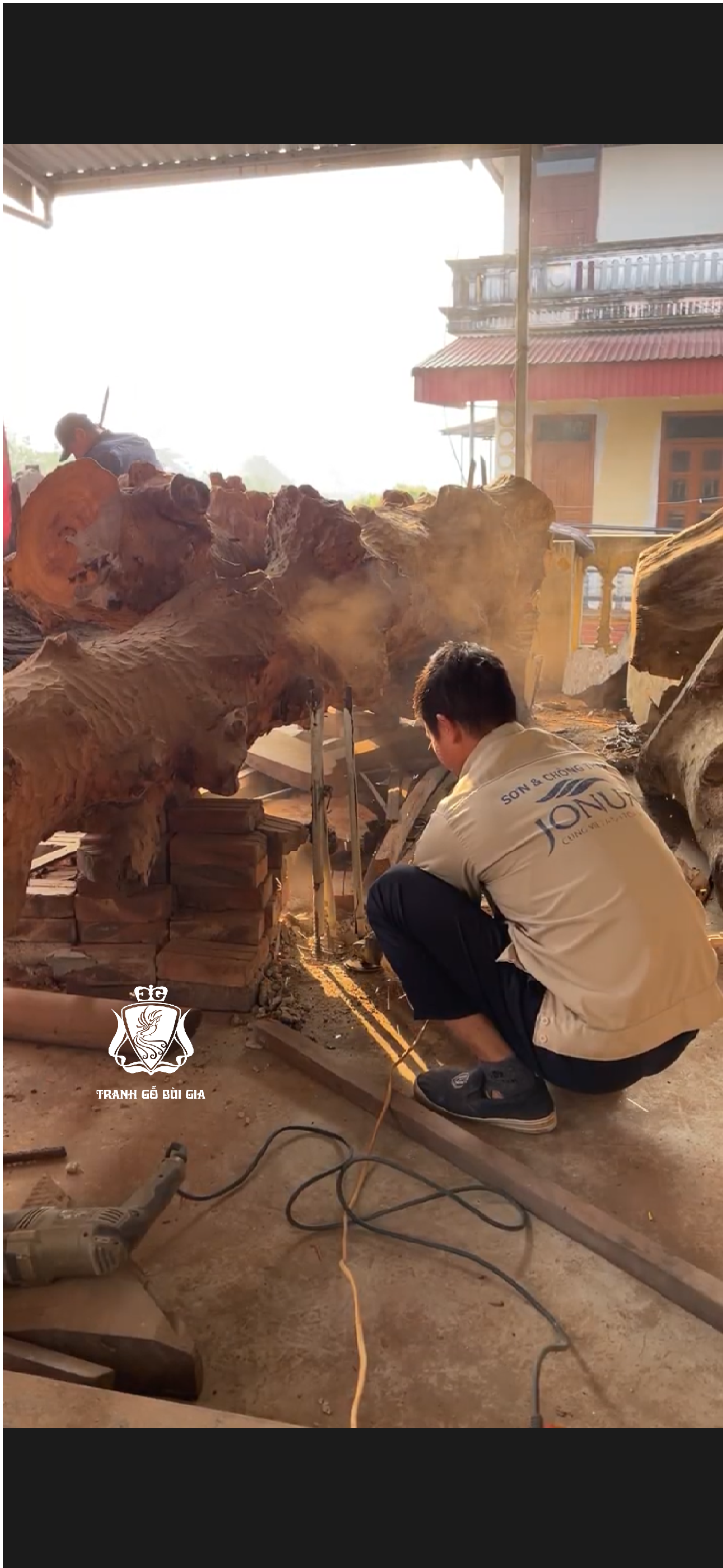 Quá trình chọn thế cho gốc mít hàng trăm năm tuổi